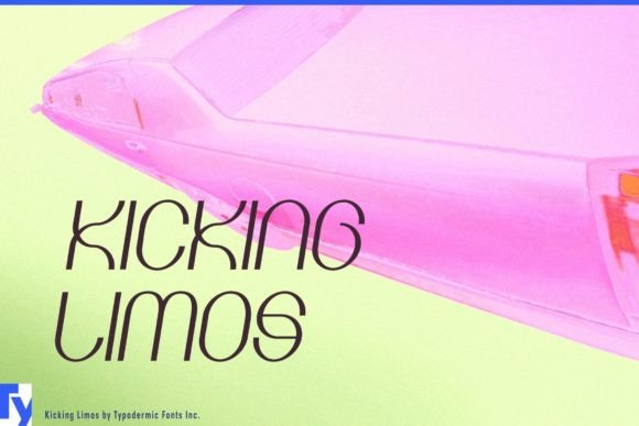 The Slim Elegance of Kicking Limos for Modern Designs